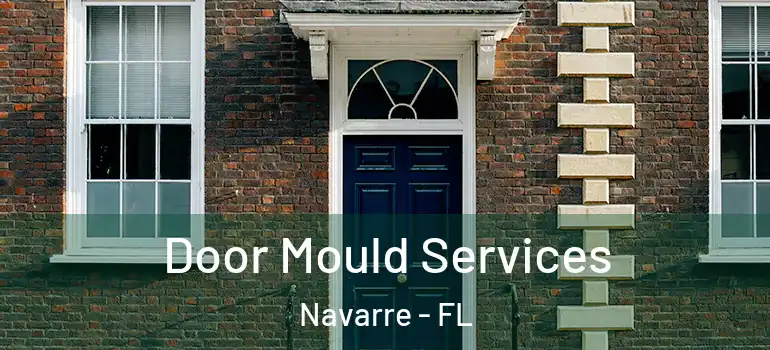 Door Mould Services Navarre - FL