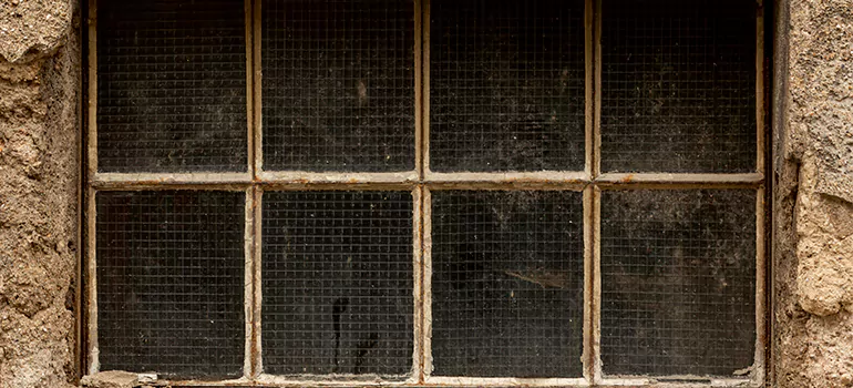 Traditional Double Front Doors in Navarre, FL