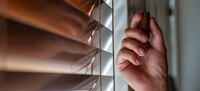 Double Roller Blinds in Navarre, FL