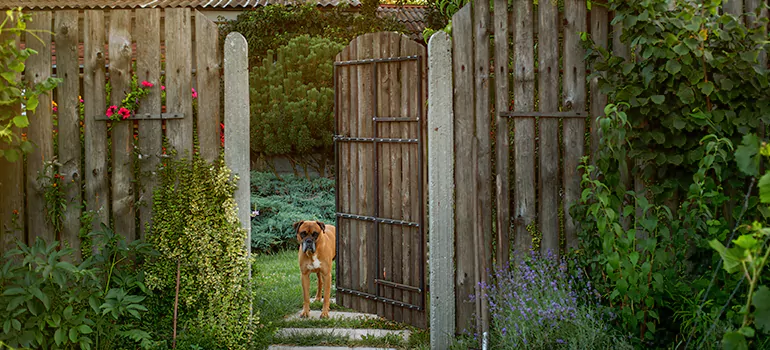 Winter Garden Garage Door Repair in Navarre,[location field=state]