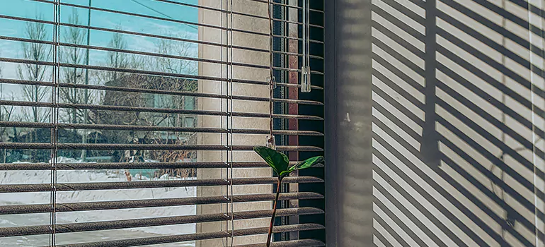 Commercial Window Blinds in Navarre, FL