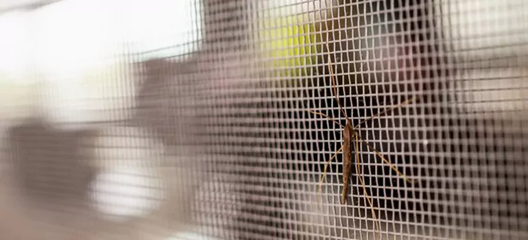 Repair Mosquito Mesh For Windows in Navarre, FL