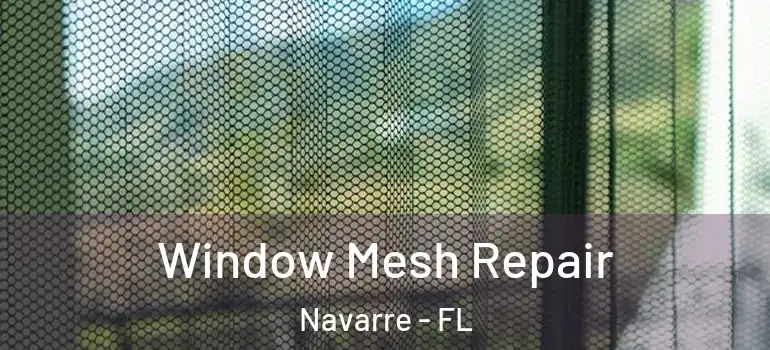 Window Mesh Repair Navarre - FL