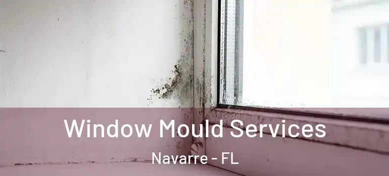 Window Mould Services Navarre - FL
